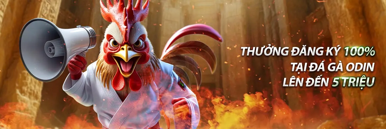 Dịch vụ hỗ trợ khách hàng chuyên nghiệp của Bongvip